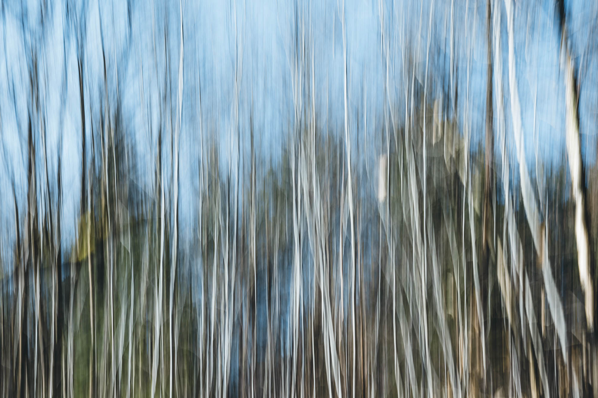 023