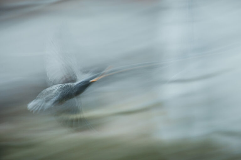 Mein Weg in der Fotografie