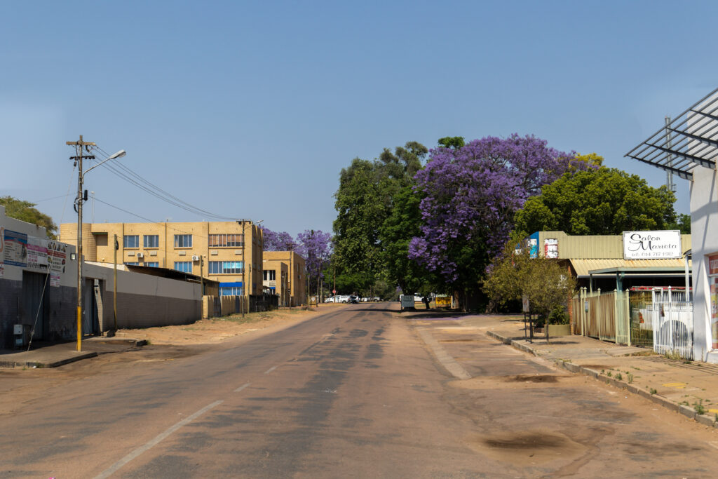 Eine Straße in Pretoria mit blühenden Jacaranda-Bäumen