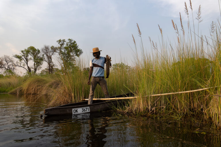 Okavango Delta (2)