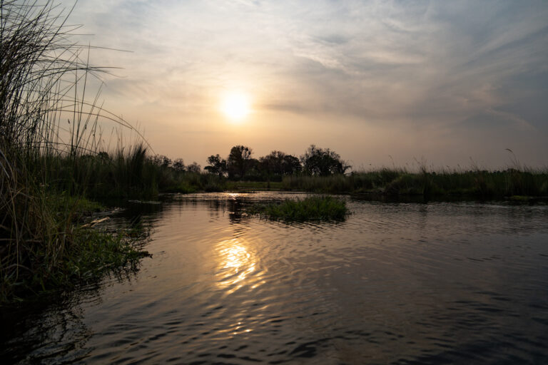 Okavango Delta (2)