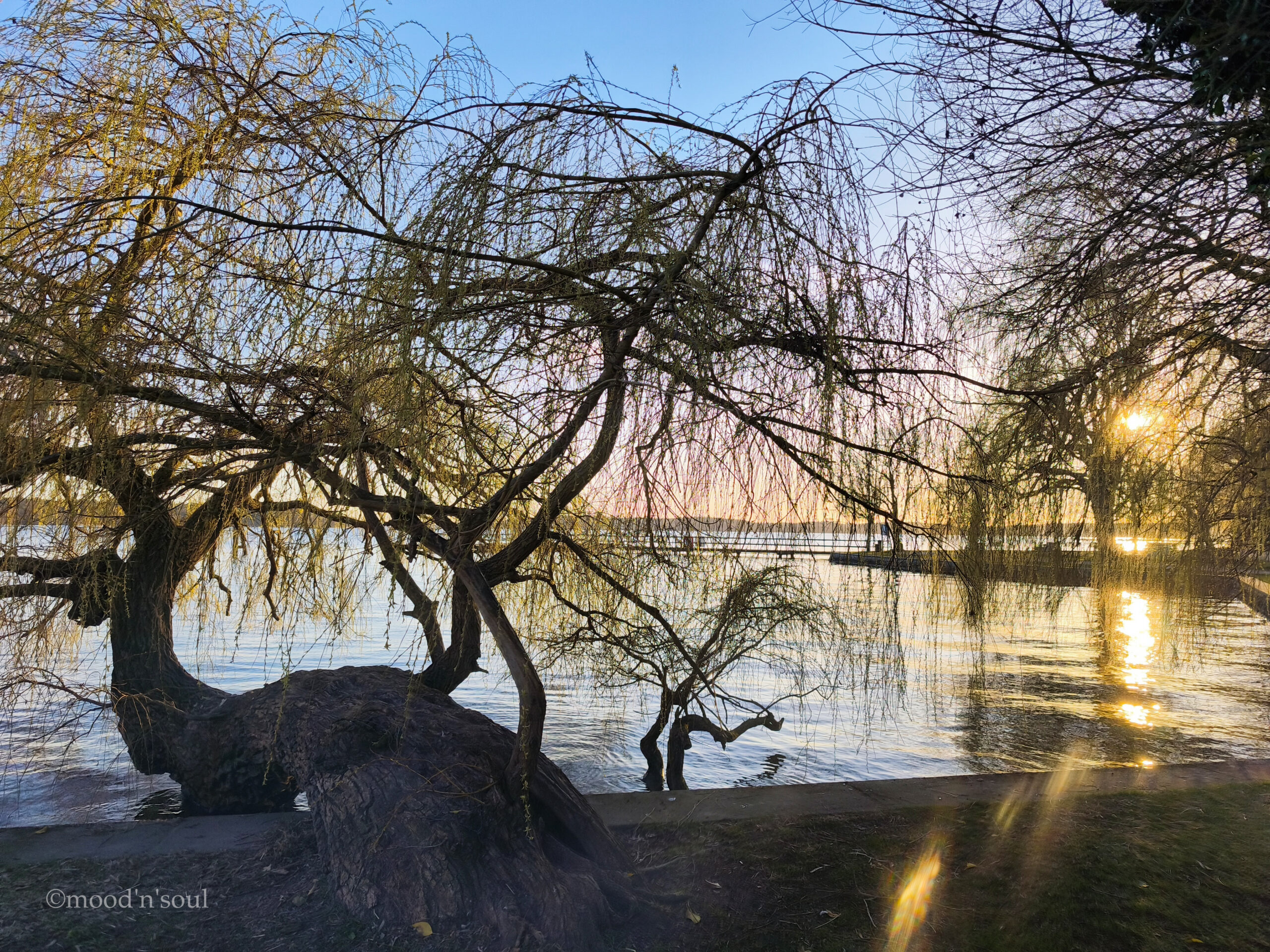 Blick von Waren aus auf die Müritz im Abendlicht