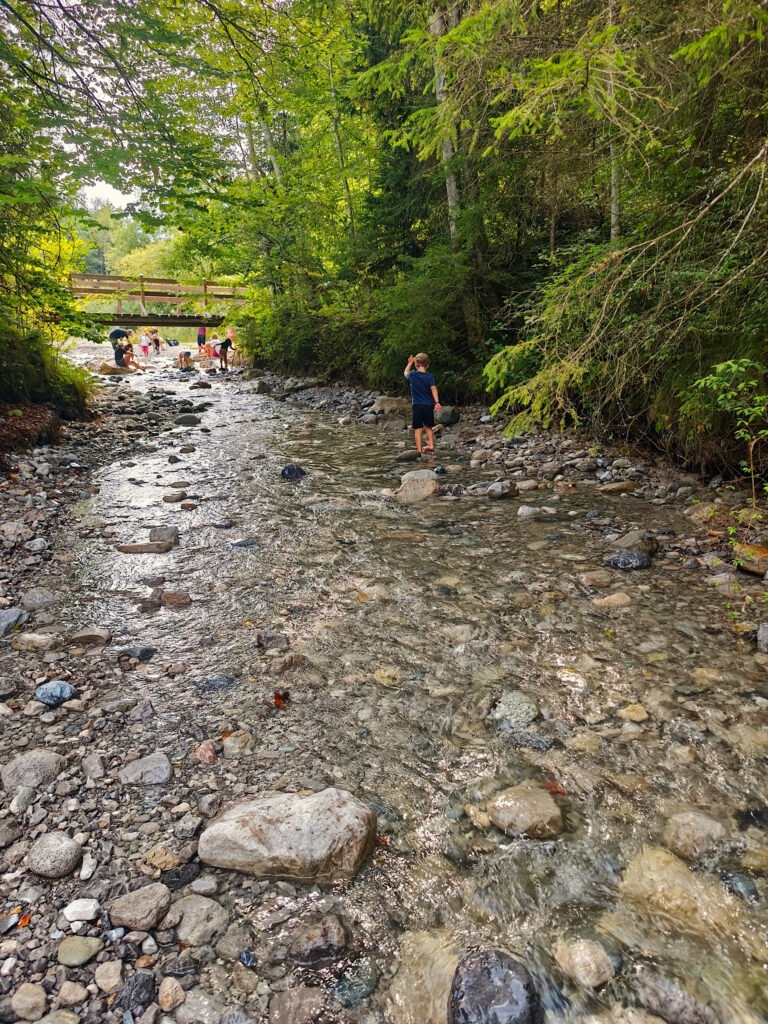 Am Bach auf Schatzsuche gehen